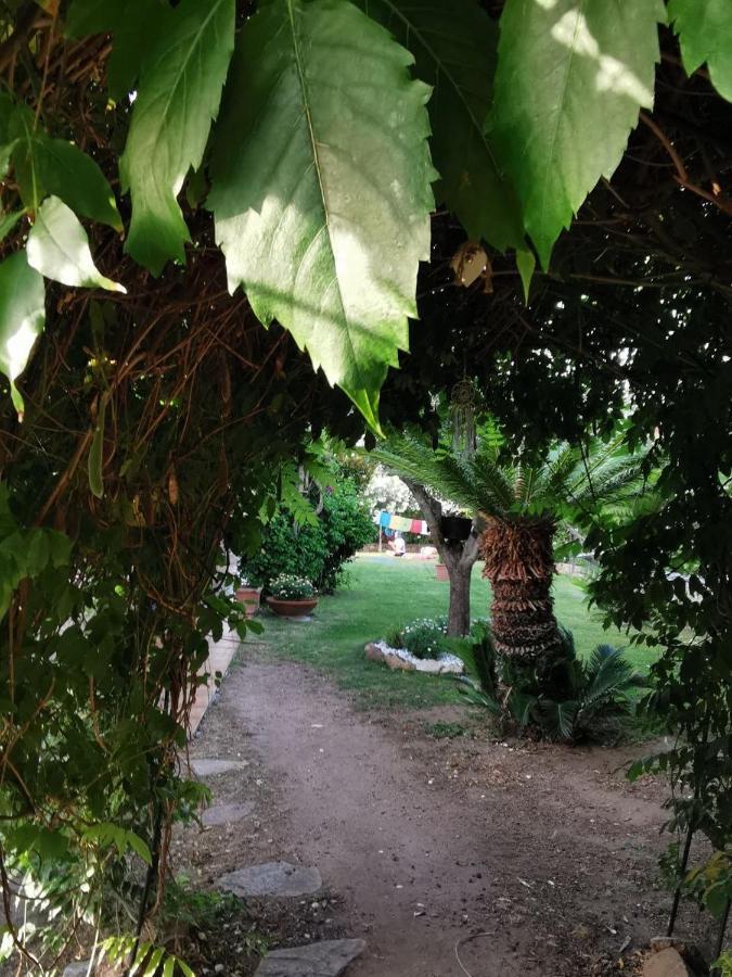 Acchiappasogni * Loiri Porto San Paolo